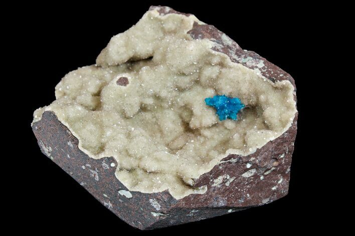 Vibrant Blue Cavansite (Pentagonite?) Cluster on Stilbite - India #176803